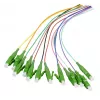 Pigtail de fibra EFB Elektronik LC-APC 9/125 µm OS2, conjunto de 12 cores, 2m