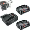 Bosch 18V Starter Set 2 x 2,5 Ah baterias + carregador AL 18V-44 (1600A031T5)