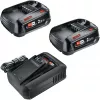 Bosch 18V Starter Set 2 x 2,5 Ah baterias + carregador AL 18V-44 (1600A031T5)