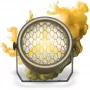 EVOLIGHTS LUMEN PAR Refletor Vintage Lighting