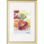 Walther Design Trendstyle 18x24 Moldura para fotografias dourada de plástico KP824G