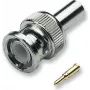 Ficha BNC EFB para cabo de vídeo, crimp, 0,6/2,8, 75 Ohm