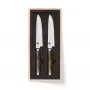 Conjunto de facas de bife KAI Shun Premier Tim Mälzer 2 peças