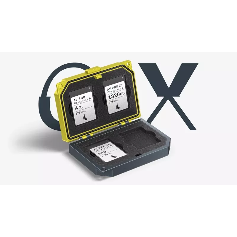 Estojo para cartões Angelbird MEDIA TANK CFexpress Type B (MEDIA-TANK-CB2)