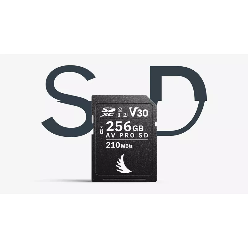 Cartão SD Angelbird AV PRO MK2 256GB V30