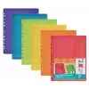 6 capas de documentos Oxford A4 sortidas antirreflexo 0,20 mm