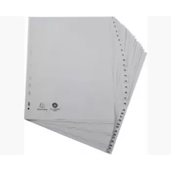 Exacompta 2931E Ficheiro de anilhas A4 - cinzento - polipropileno 100% reciclado - 2 anilhas de 20 mm - lombada de 30 mm - capacidade 180 folhas