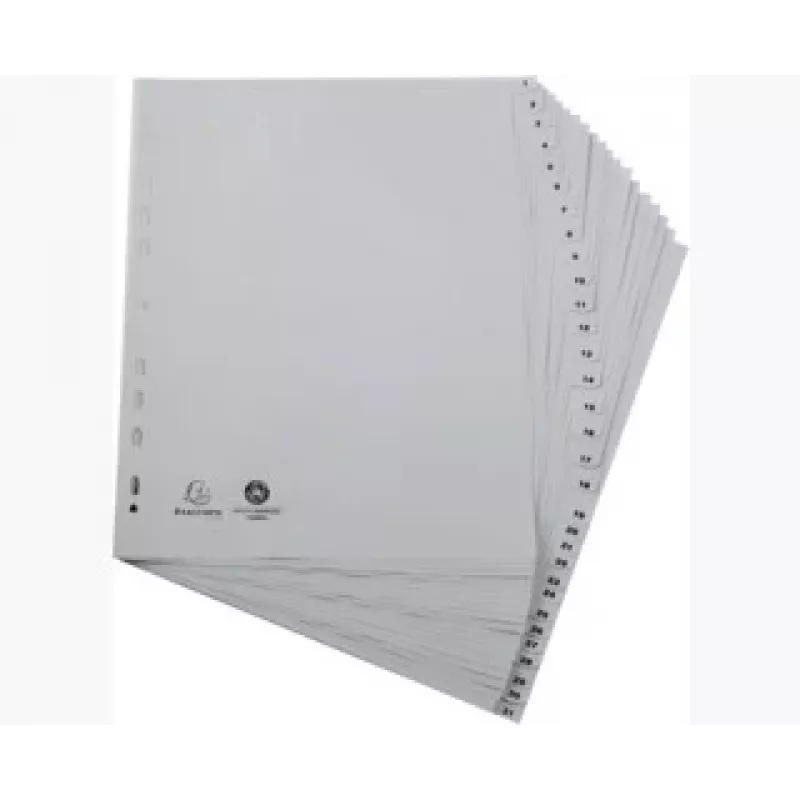 Exacompta 2931E Ficheiro de anilhas A4 - cinzento - polipropileno 100% reciclado - 2 anilhas de 20 mm - lombada de 30 mm - capacidade 180 folhas