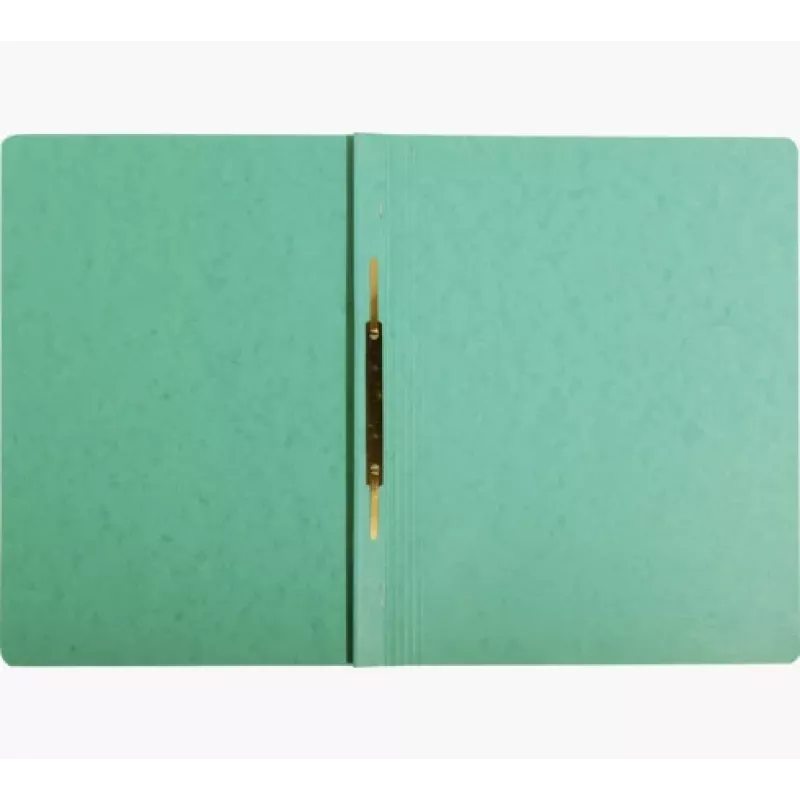 Exacompta Colorspan pasta de fixação A4 verde 355 g/m² arquivo flexível