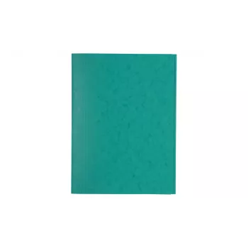 Exacompta 56415E pasta de relatório A4 verde 200 folhas 3 mm de lombada cartão reciclado