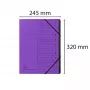 Exacompta pasta de organização 12 divisórias violeta Colorspan