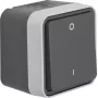 Hager WNC008 Interruptor bipolar de superfície com marcação 0/1, IP55, cinzento