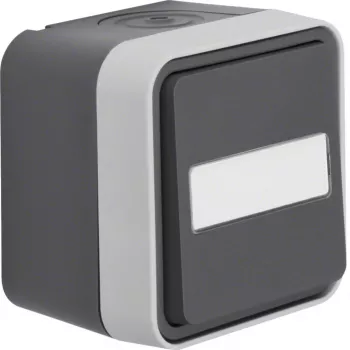 Hager WNC006 interruptor de comutação saliente IP55 cinzento com campo de identificação W.1