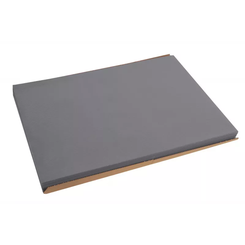 PROnappe Individual descartável 400 x 300 mm, cinzento, papel gofrado ligeiramente acetinado