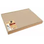 PROnappe 100 Placemats Bege 30 x 40 cm