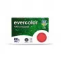 Exacompta 40015C Papel para impressora laser/jato de tinta A4 80 g/m² 500 folhas Branco Mate FSC Anjo Azul