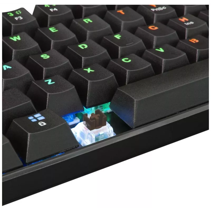 Teclado Mecânico WHITE SHARK Black Shark GK-2022 Shinobi US Brown SW