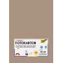 Folia 614/50 73 Cappuccino Cartão sólido A4 300 g/m² 50 folhas