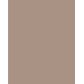 Folia 614/50 73 Cappuccino Cartão sólido A4 300 g/m² 50 folhas
