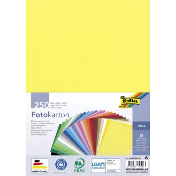 Folia Cartão Fotográfico Cores Sortidas 300 g/m² 250 folhas A4 Cartão Fotográfico