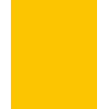 Folia 614/50 15 Cartão A4 Amarelo-dourado 300 g/m² 50 folhas