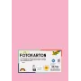 Folia 614/50 26 - Rosa - Liso - A4 (210 x 297 mm) - 300 g/m² - 50 folhas - Alemanha