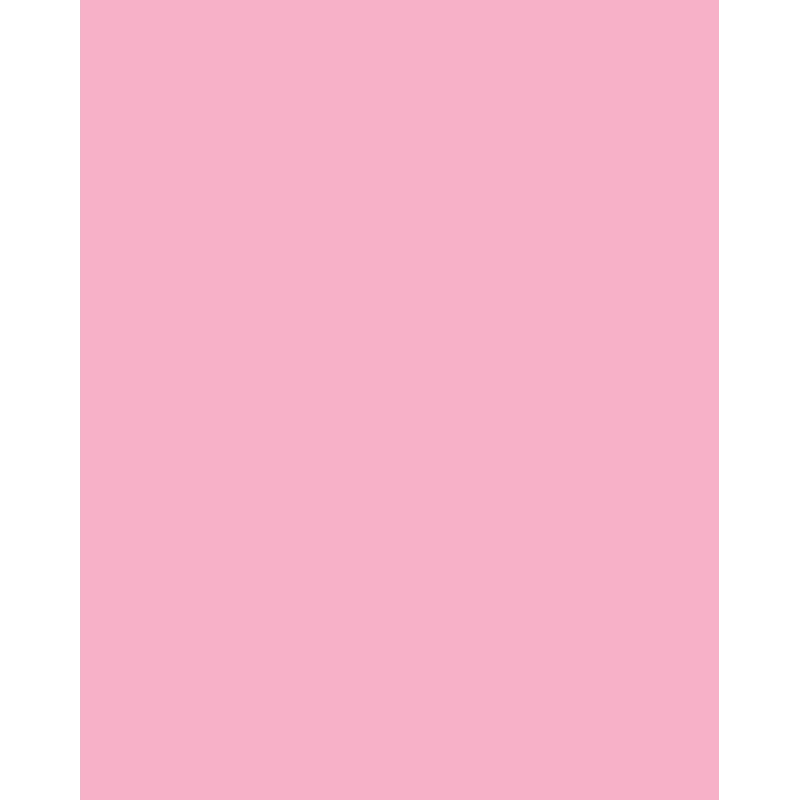 Folia 614/50 26 - Rosa - Liso - A4 (210 x 297 mm) - 300 g/m² - 50 folhas - Alemanha