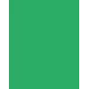 Folia 614/50 54 - Verde - Monocromático - A4 (210 x 297 mm) - 300 g/m² - 50 folhas - Alemanha