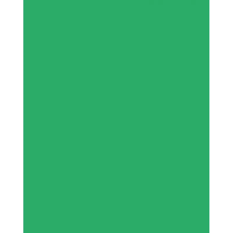 Folia 614/50 54 - Verde - Monocromático - A4 (210 x 297 mm) - 300 g/m² - 50 folhas - Alemanha