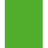 Folia 614/50 55 - Verde - Liso - A4 (210 x 297 mm) - 300 g/m² - 50 folhas - Alemanha