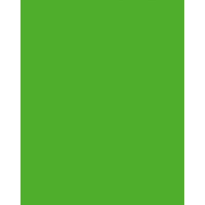 Folia 614/50 55 - Verde - Liso - A4 (210 x 297 mm) - 300 g/m² - 50 folhas - Alemanha