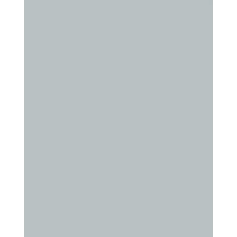 Folia 614/50 60 Papel de Design - Prateado - A4 (210 x 297 mm) - 300 g/m² - Mate - 50 folhas