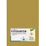 Folia 614/50 65 - Dourado - Cor Sólida - A4 (210 x 297 mm) - 300 g/m² - Mate - 50 folhas