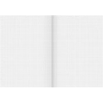 Caderno escolar reciclado BRUNNEN Lineatur 22 quadriculado sem margem A4