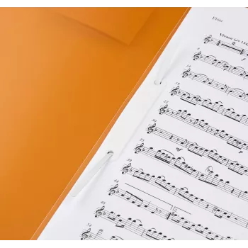 Dossier de relatório BRUNNEN FACT! A4 PP laranja 150 folhas fixação metálica