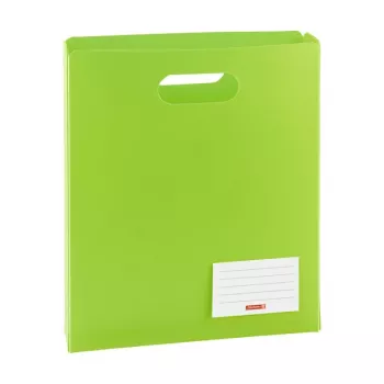 Caixa de documentos BRUNNEN FACT!pp A4 5 cm verde