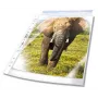 DURABLE Premium bolsas para documentos DIN A4 extralargas transparentes lisas 0,08 mm, 50 unidades (999111197)