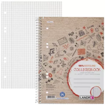Bloco de apontamentos Hamelin Landre College A5 quadriculado 80 folhas com margem 4 furos