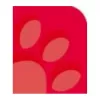 Oxford 100050402 caderno A4 90 g/m2 vermelho
