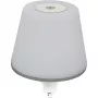 REV luz LED para garrafa com pilhas Lamprusco Flame branco quente