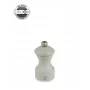 Peugeot Bistro moinho de sal Z verde salva 10 cm
