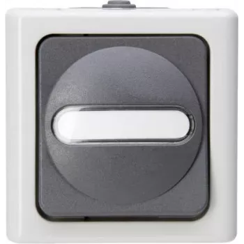 Heinrich Kopp Interruptor de cruzamento AP para locais húmidos BLUE ELECTRIC cinzento 10A 250V IP44 interruptor de comutação de sobrepor