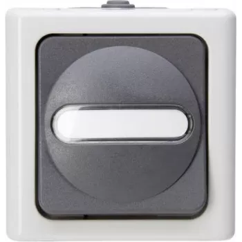 Heinrich Kopp Interruptor de botão 1P cinzento/branco termoplástico IP44 78mm