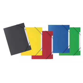PAGNA Pasta organizadora de 5 separadores Basic 5 separadores cores sortidas