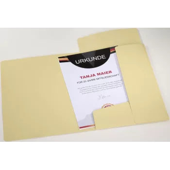 PAGNA Pasta com elástico Pastell Eco A4 PP amarelo-pastel para documentos