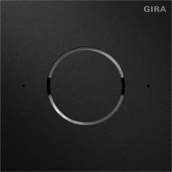 Módulo de voz Gira 5592925 IP System 106 preto mate