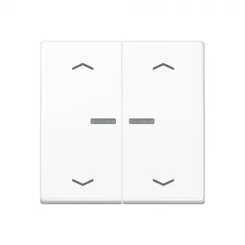 JUNG Botão Home 2 módulos Bluetooth AS 17102 P WW
