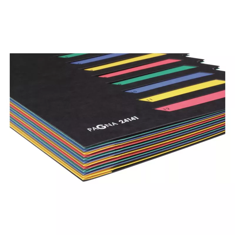PAGNA pasta de arquivo A4 preto lombada 10 mm cartão fivela metálica 24141-04