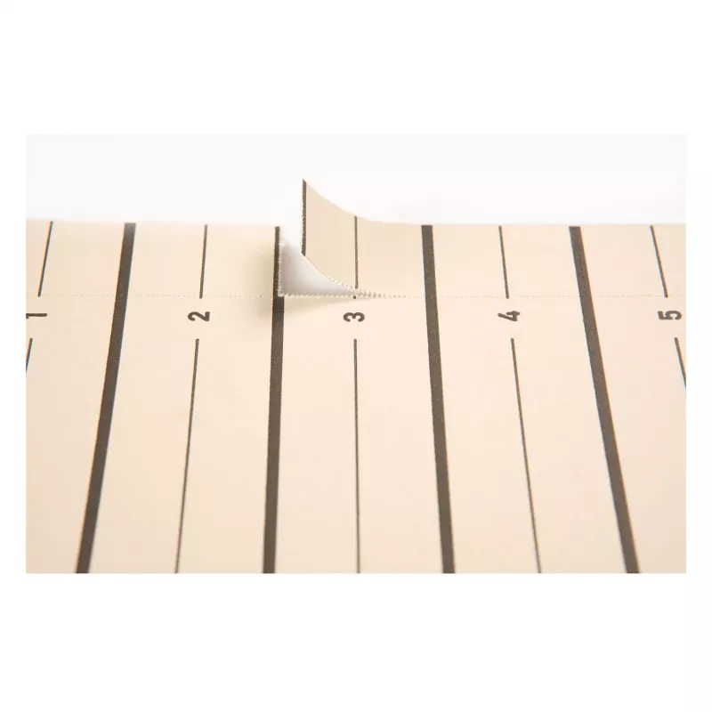 PAGNA separadores A4 cartão bege 100 unid. sem furos 180 g/m² 44063-09