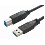Bachmann 917.1203 cabo USB 3.2 Gen 1 - USB A para USB B - 3 m - preto